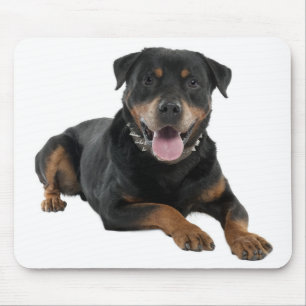 Liebe Rottweiler Welpen Hund Mauspad