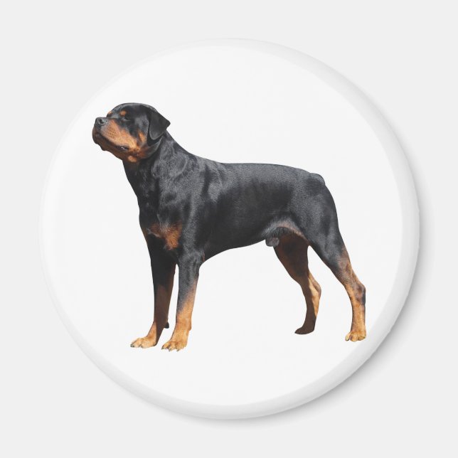 Liebe Rottweiler Welpenhund Magnet (Vorne)