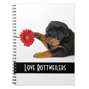 Liebe Rottweiler Welpenhund mit Daisy Notizbuch Notizblock