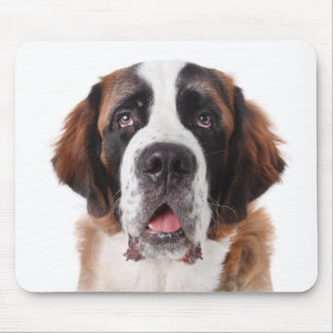 Liebe Saint Bernard Welpe Hund Mousepad