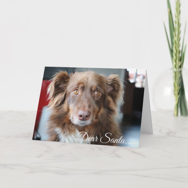 Liebe Sankt, definieren freche lustige Feiertagskarte (Vorderseite)