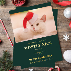 Liebe Santa Funny Cat Foto Weihnachten Folien Feiertagskarte