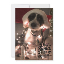 Liebe Santa I kann erklären (Hund)