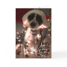 Liebe Santa I kann erklären (Hund)