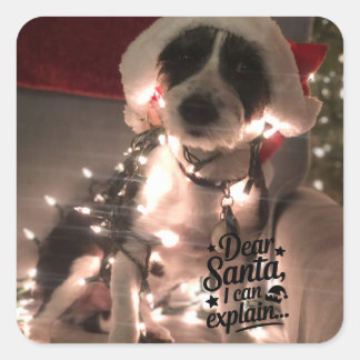 Liebe Santa I kann erklären (Hund) Quadratischer Aufkleber