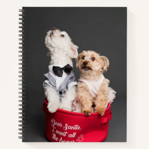 LIEBE SANTA, ICH WOLLTE ALLE KNOCHEN NOTIZBUCH