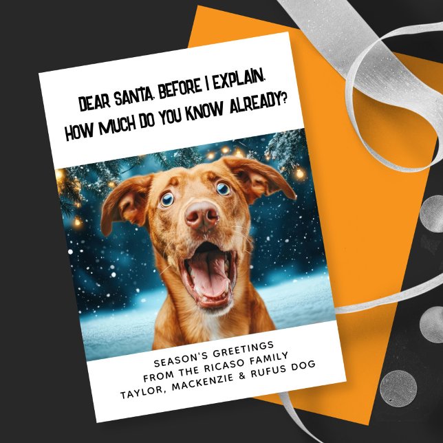 Liebe Santa Wie viel weißt du schon? Weihnachten (Dear Santa How Much Do You Know Already? Christmas Holiday Card by Ricaso. Personalized with photo
)