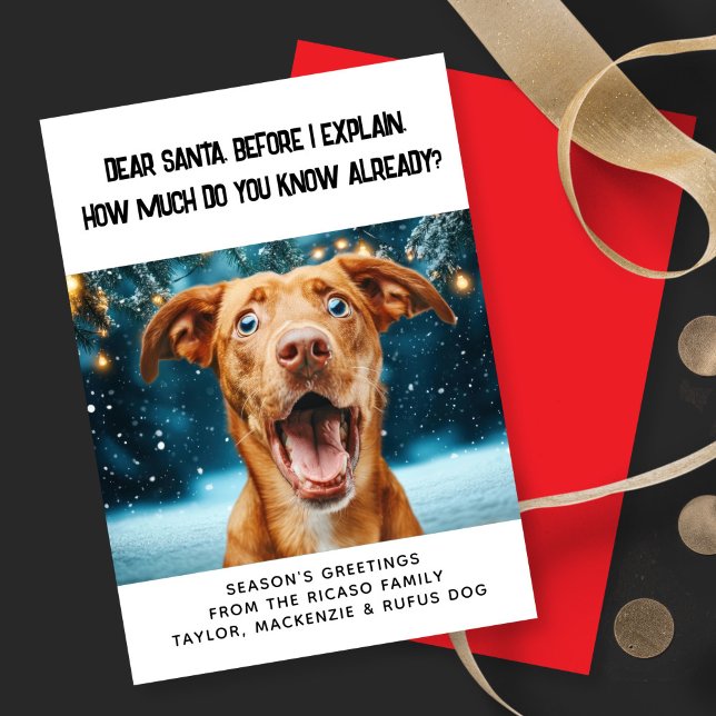 Liebe Santa Wie viel weißt du schon? Weihnachten (Dear Santa How Much Do You Know Already? Christmas Holiday Card by Ricaso. Personalized with photo
)