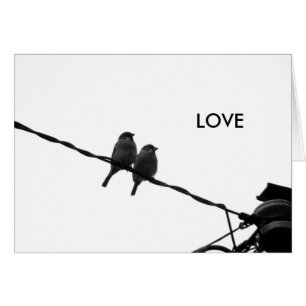 Liebe/Schauen in der gleichen Richtung