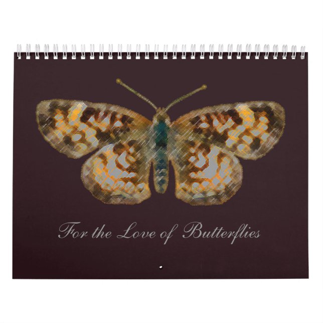 Liebe Schmetterlinge Schmetterling und Blumenfotog Kalender (Titelbild)