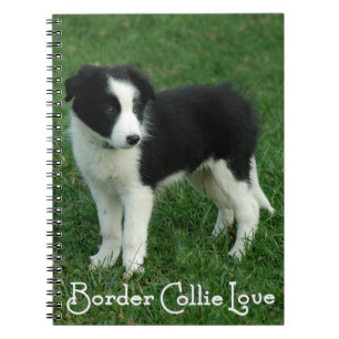 Liebe Schwarz-Weiß Border Collie Welpen Hund Journ Notizblock