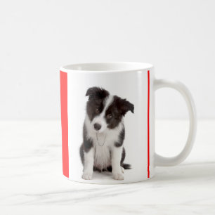 Liebe Schwarz-Weiß-Grenze Collie Welpe Hund Tasse