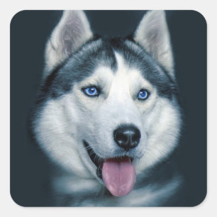 Liebe Siberian Husky Welpe Hund Gruß Sticker