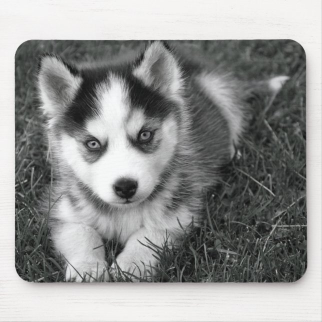 Liebe Siberischer Husky Welpe Hund Mousepad (Vorne)
