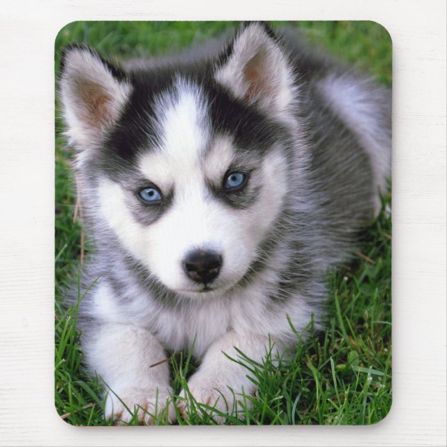 Liebe Siberischer Husky Welpe Hund Mousepad (Vorne)