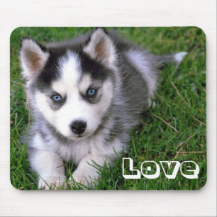Liebe Siberischer Husky Welpe Hund Mousepad