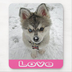 Liebe Sibirian Husky Welpe Hund Im Schnee Mauspad