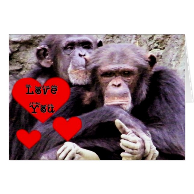 Liebe Sie_ (Vorderseite (Horizontal))