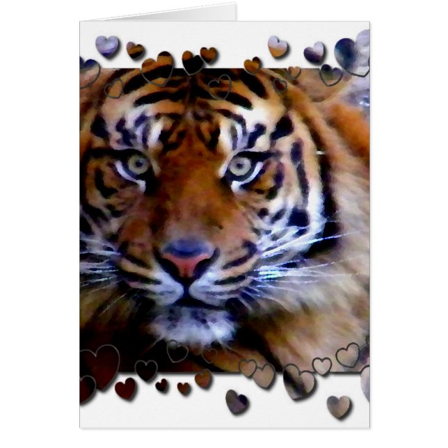 Liebe Sie_ (Vorne)
