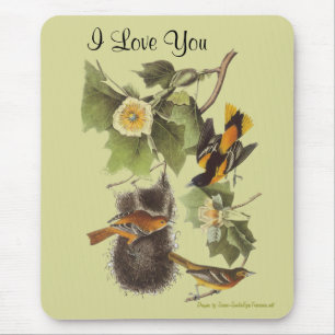 Liebe Sie Audubon Birds Personalisiert Mousepad