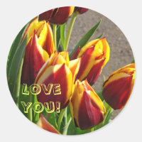 Liebe Sie! Aufkleber Rot-Gelbe Tulpen Blume