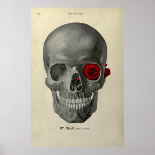 Liebe Sie für immer Plakat