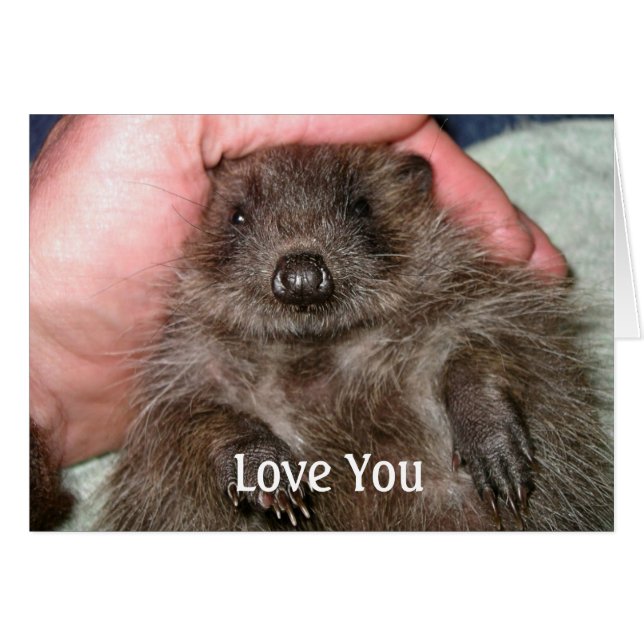 Liebe-Sie-Karte (Vorderseite (Horizontal))