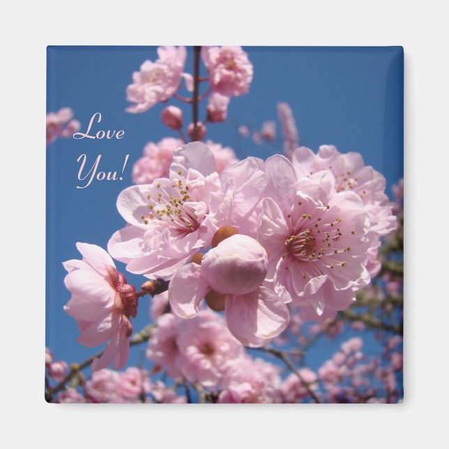 Liebe Sie! Magnet Rosa Blume Baumblüten (Vorne)