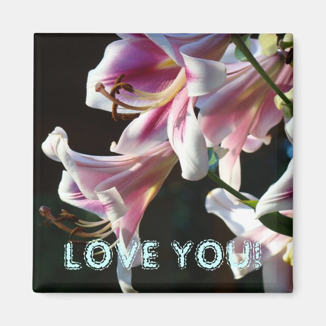 LIEBE SIE! Magnet Rosa Sommer Lilien Blume (Vorne)