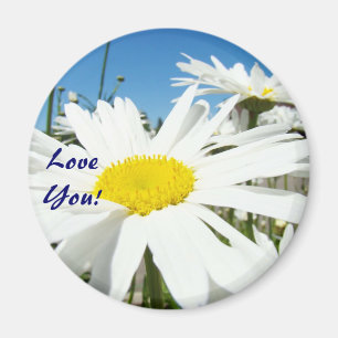 Liebe Sie! Magnete Blue Sky White Daisy Blume