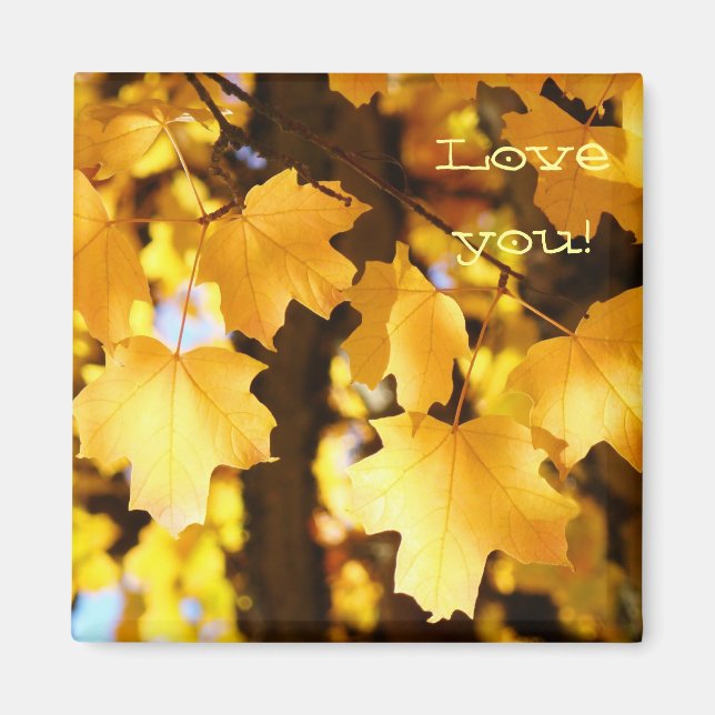 Liebe Sie! Magnete Gelber Herbst lässt die Natur z (Vorne)