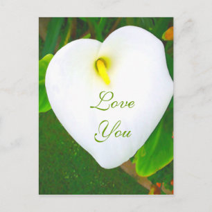 Liebe Sie_ Postkarte