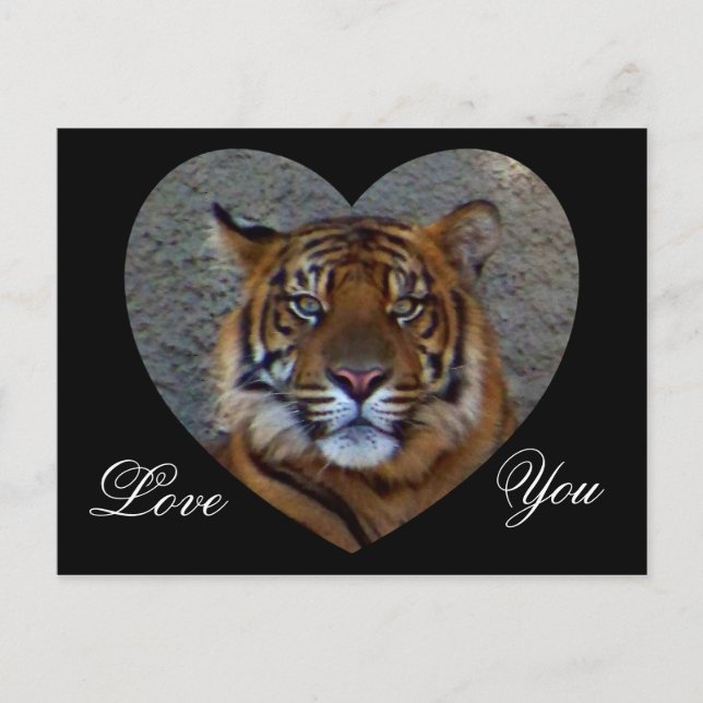 Liebe Sie_ Postkarte (Vorderseite)