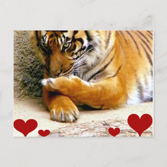 Liebe Sie_ Postkarte (Vorderseite)