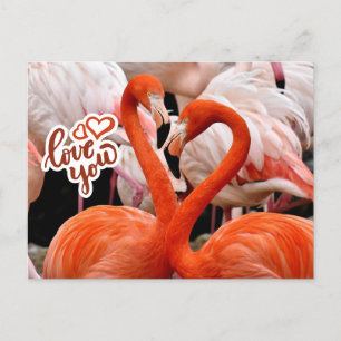 Liebe Sie zwei schöne Flamingo Vögel Postkarte
