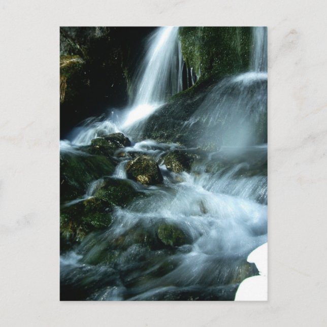 Liebe SONG Postkarte (Vorderseite)