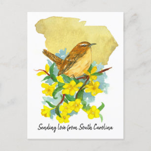 Liebe South Carolina Wren Jessamine senden Postkarte