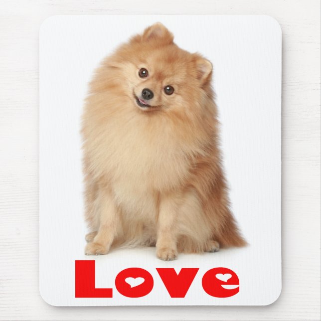 Liebe Spitz Pom Pom Welpen Hund Mousepad (Vorne)