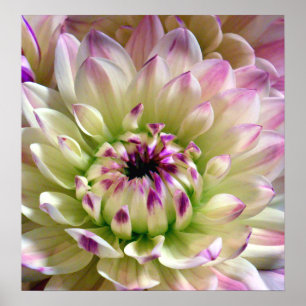 Liebe Spreading_Poster Poster