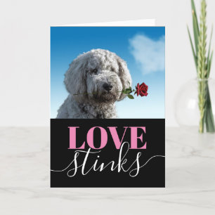 Liebe stinkt Lustiges Foto Valentinstag Feiertag C Feiertagskarte