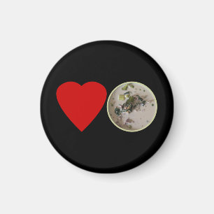 Liebe Thai Green Curry ... Thailand Street Food Magnet