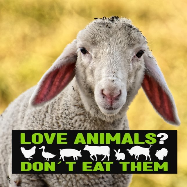 Liebe Tiere? Nicht essen, Veganer Aktivismus Autoaufkleber (Von Creator hochgeladen)