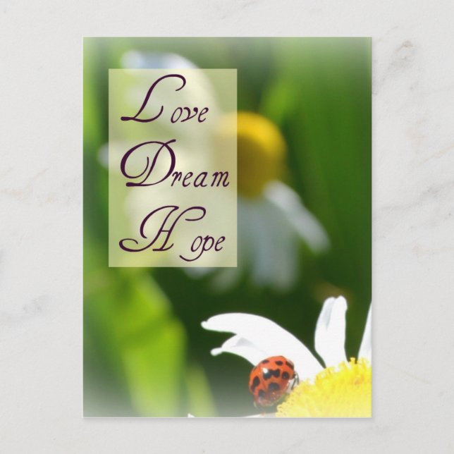 Liebe, Traum, Hope Ladybug Post Card Postkarte (Vorderseite)