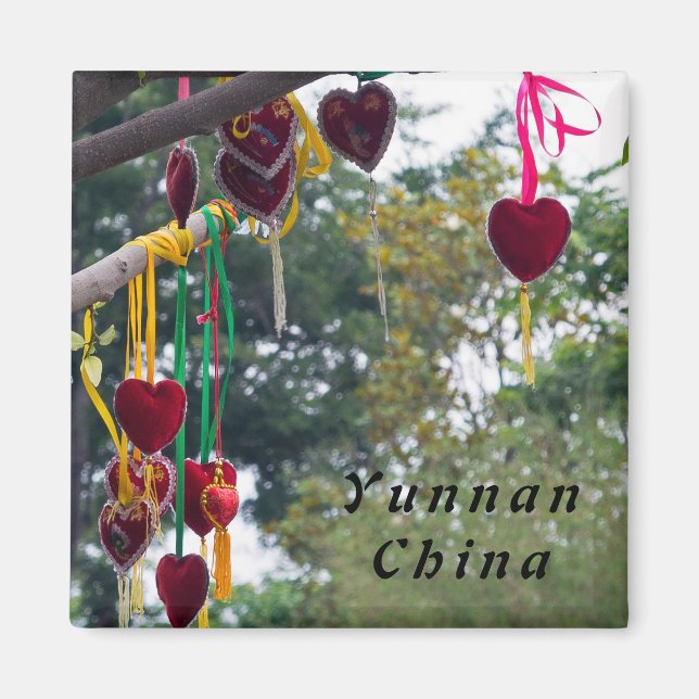 Liebe tree, Zhonghe - Yunnan, China Magnet (Vorne)