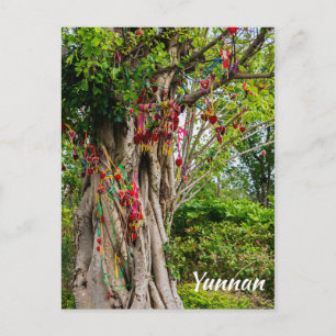 Liebe tree, Zhonghe - Yunnan, China Postkarte