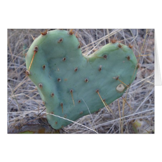 Liebe tut weh (Vorderseite (Horizontal))