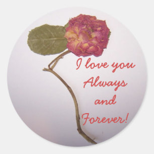 Liebe u Aufkleber