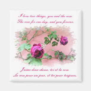 Liebe u. Rosen-Magnet Magnet
