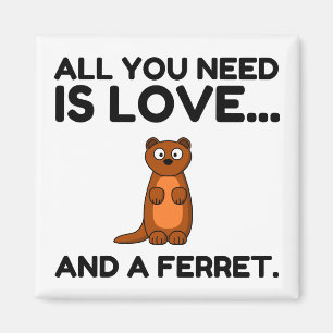 LIEBE UND EIN FERRET MAGNET