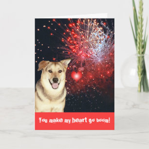 Liebe und Feuerwerkskörper Feiertagskarte